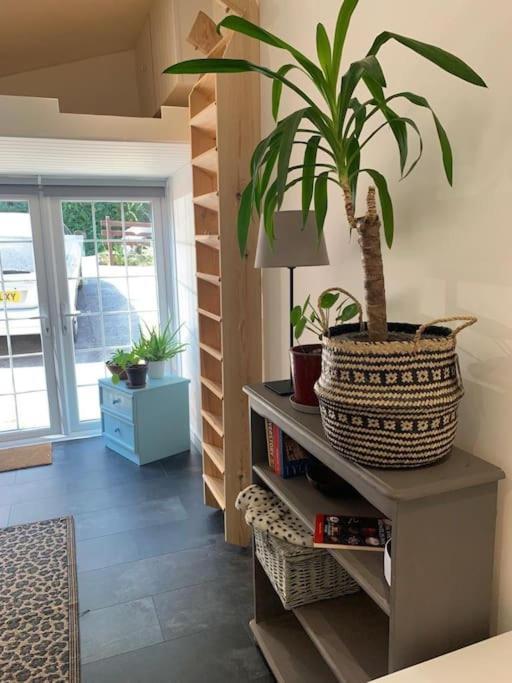 The Garage Getaway Apartment กลาสตันเบอรี ภายนอก รูปภาพ